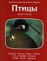 Птицы полей и лесов Серия: Удивительный мир живой природы инфо 3686e.